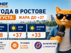 В Ростове 8 августа жара усилится до +37 градусов