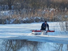 Лебедя, оставшегося рядом с погибшей подругой на льду спасли в Ростовской области  