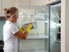Проверяющих напугали кишащие микробами холодильники в детском саду Ростова