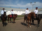 Казаки на конях будут успокаивать дебоширов во время матчей ЧМ-2018 в Ростове