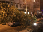 Рухнувшее на дорогу дерево оборвало провода и придавило легковушку в центре Ростова на видео