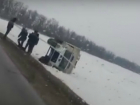 Улетевший в кювет джип и сбитая собака: последствия ледяного дождя на ростовской трассе попали на видео