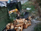 В Ростове бизнесмен выбросил хлеб на помойку
