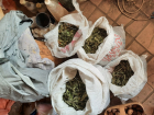 У жителя Ростовской области нашли семь мешков марихуаны