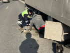 В Ростовской области полицейские помогли водителю большегруза, застрявшему на трассе из-за поломки
