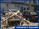 В центре Ростова сухой тополь упал на припаркованные автомобили