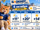 До +20 градусов и слабая буря ожидают Ростов 6 октября