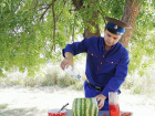 Продлить летние каникулы: расскажем, как ростовчанам приготовить эко-лимонадницу из арбуза
