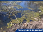 Красивый водоем в Ростовской области превратился в грязную лужу с мусором
