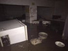 Волонтеры просят помощи у ростовчан: в Центре безнадзорных животных утонули все корма и медикаменты