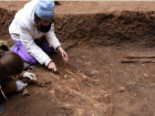 В Ростовской области археологи обнаружили необычное захоронение знатного скифа