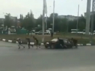 Протащившие на своем горбу легковушку ростовские «бурлаки» рассмешили местных жителей на видео