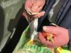 Неожиданный подарок девушки пенсионеру, копавшемуся в мусорном баке Ростова, попал на видео  