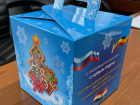 Власти Ростовской области отправят новогодние подарки детям из Сирии