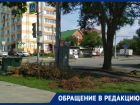 «Рухнувшее дерево распилили, а ветки не убрали»: ростовчанка пожаловалась на работу управления благоустройства