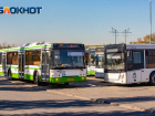 В Ростове-на-Дону с 1 августа изменилось число маршрутов и автобусов на них