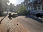 Рухнувшее дерево повредило два автомобиля в Ростове