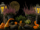 Луна спасает урожай: календарь для садоводов и огородников на ближайшие выходные