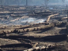 Лесной пожар в Каменском районе Ростовской области локализован на площади в 54 га