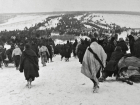 Календарь: 77 лет назад Тацинский и Чертковский район были освобождены от фашистов