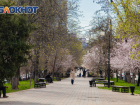 В Ростове 19 мая будет тепло и дождливо