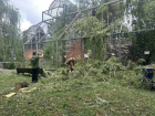 Ростовский зоопарк рассказал, как пережил мощный ураган