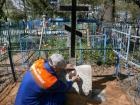 Власти Ростова решили вложить в кладбища 23 миллиона рублей