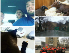 Уморительная дружба овцы с теленком и влюбленные коты: топ-5 самых трогательных событий уходящего года в Ростове