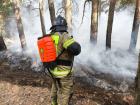 В Ростовской области потушили большой лесной пожар в Тарасовском районе