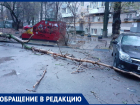 Рухнувшее дерево в Ростове, которое должны были спилить полгода назад, едва не придавило маму с ребенком