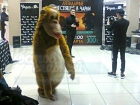 Страшно-забавный Кинг Конг вызвал насмешки у посетителей торгового центра в Ростове