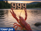 ТОВАР ДНЯ: Рак «Волга» Средний — 999 рублей за килограмм
