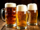 Потребление пива в Ростовской области снизилось на 12% в 2025 году