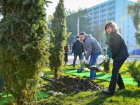 Осенью в Ростове высадят 5,5 тысяч деревьев
