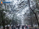 Похолодание придет в Ростов на этой неделе