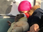 Прокатившаяся в автобусе с «особенным» ребенком на руках женщина вызвала истерику у жителей Ростова