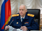 Бастрыкин поручил доложить о проверке после нападения собак на ребенка в Белой Калитве