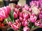 В Ростове стоимость одного тюльпана к 8 марта вырастет до 200 рублей