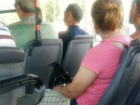 Черный ворон прокатился на коленях ростовчанки в общественном транспорте