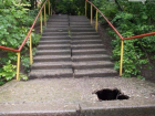 Ростовчане призывают власти  обратить внимание на опасную для жизни лестницу на Петрашевского