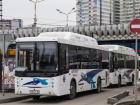 Автобусы из Ростова до Платова вернутся к старому расписанию