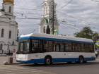 Ростовчанин потребовал уволить водителя троллейбуса, не открывшего на остановке заднюю дверь