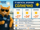Погода в Ростове-на-Дону: жара до +34 градусов и слабая магнитная буря