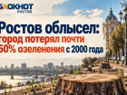 Ростов облысел: город потерял почти 50% озеленения с 2000 года