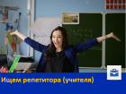 Работа репетитор (учитель) 
