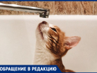 В Ростове у жителей многоквартирного дома 19 дней отсутствует горячая вода