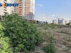 Иностранный препарат для лечения детей с аллергией исчез из Ростова 