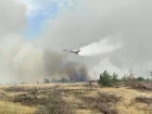 «Россети» опровергли слова губернатора Голубева о причинах крупного лесного пожара