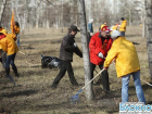 В Департаменте ЖКХ и энергетики Ростова-на-Дону подвели итоги месячника чистоты