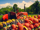 На уничтожение санкционных продуктов в Ростовской области потратят 200 тысяч рублей